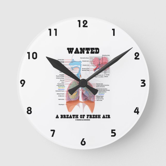 Horloge Ronde Wanted A Breath Of Fresh Air (Recto)