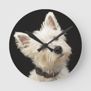 Horloge Ronde Westie (terrier des montagnes occidental) avec le