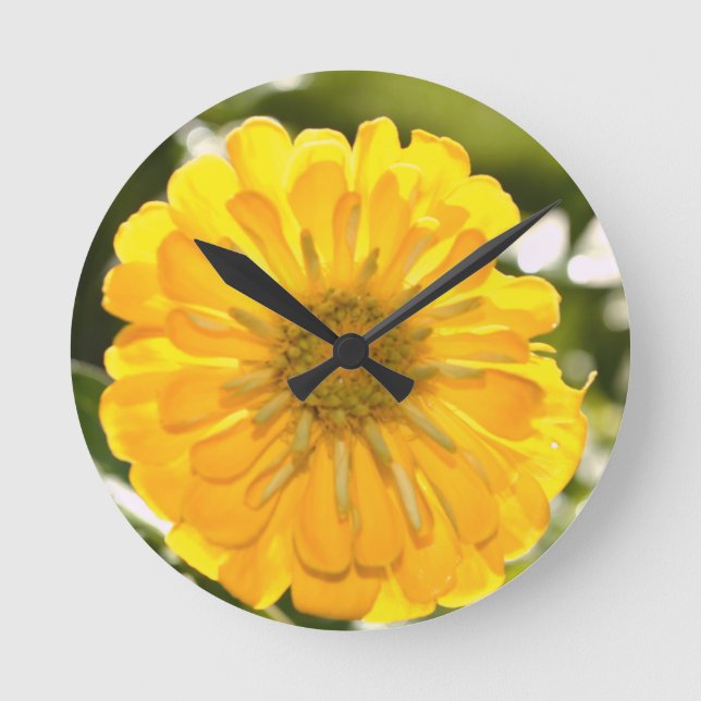 Horloge Ronde Zinnia jaune, marguerite jaune, fleur jaune (Recto)