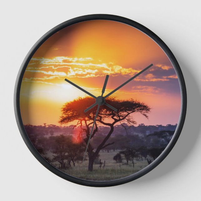 Horloge Safari dans le Parc National du Serengeti (Recto)