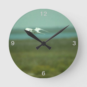 Horloge - Terne en vol