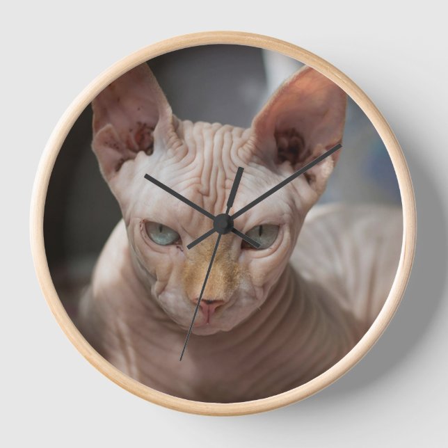 Horloge The Bold Cat – Artistic Wall Clock for Cat Lovers (Recto)