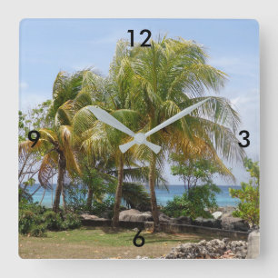 Horloge tropicale des palmiers