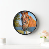 Twilight Rose | Cheval de course Pur-sang