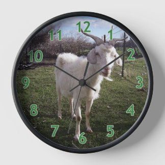 Horloge Une jeune chèvre