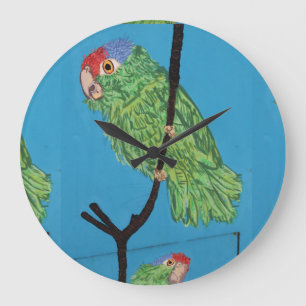 horloge verte de perroquet