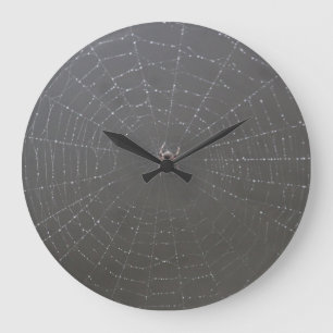 Horloge Web Spider