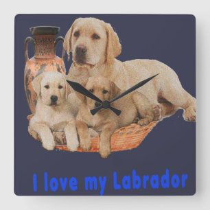 Horloges de récupération Labrador