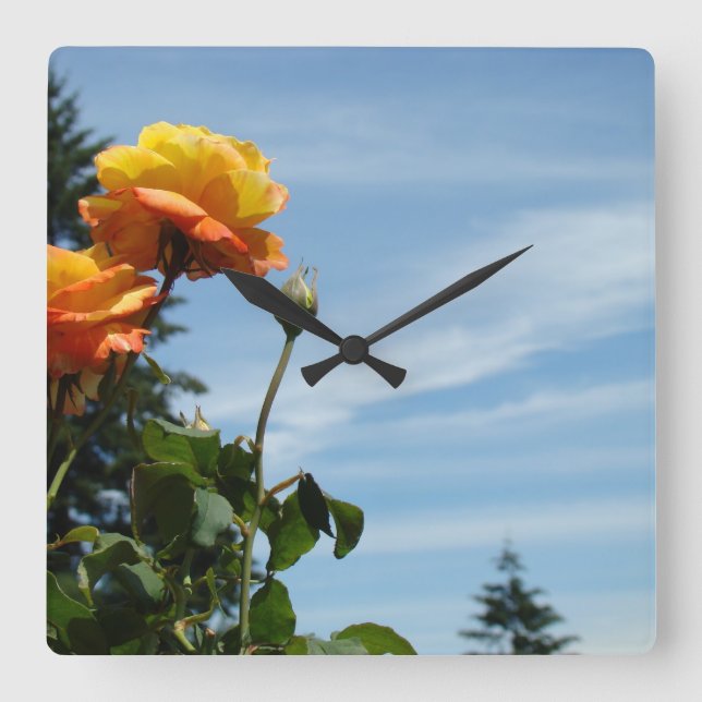 Horloges murales de jardin de roses Ciel bleu Rose (Recto)