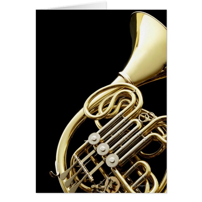 Horn (Front)