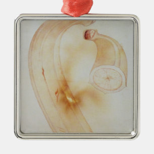 Horn Plantain Metal Ornament