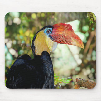 Hornbill mouse pad
