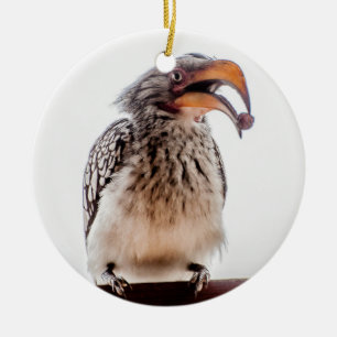 Hornbill with seed in mouth ceramic ornament