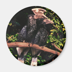 Hornbills In Love Magnet