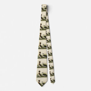 Horned Grebe from John Audubon's Birds of America Tie