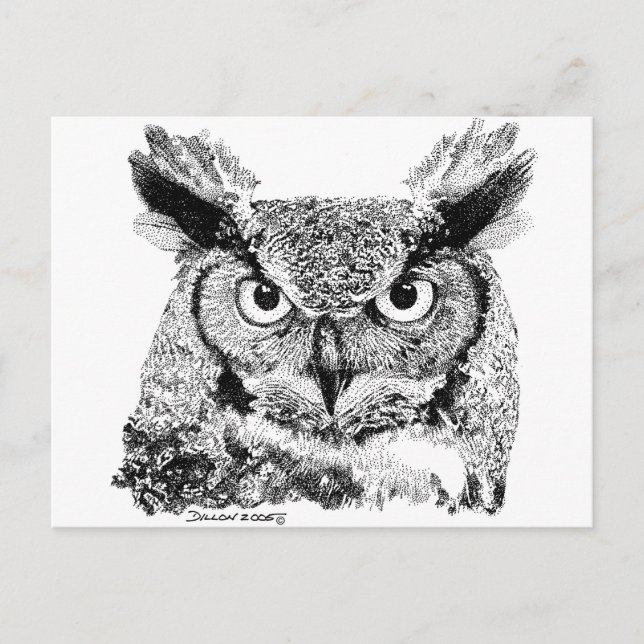 Horned Owl Postcard (Front)