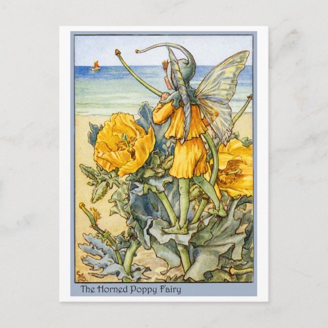Horned Poppy  Fairy Postcard (Front)