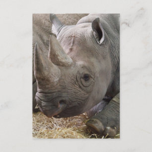 Horned Rhino Invitations