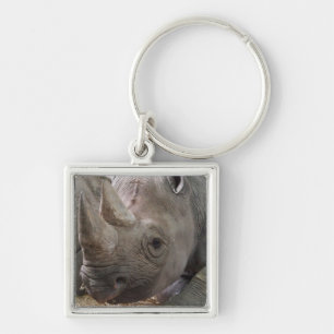 Horned Rhino  Keychain