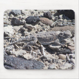 horned toad mouse pad