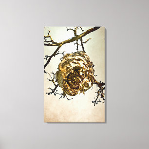 Hornet's Nest Canvas Print
