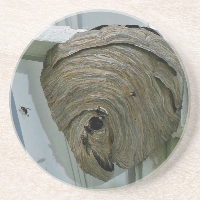 Hornets Nest Coaster (Front)