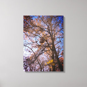 Hornets Nest on canvas Print