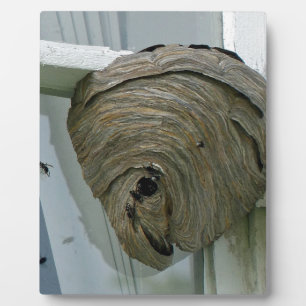 Hornets Nest Plaque