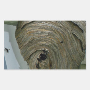 Hornets Nest Sticker