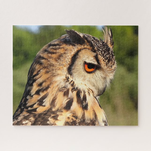 Hornugle Owl- Birds of Prey. Jigsaw Puzzle (Horizontal)