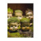 Horror Creepy Dollheads Growing Moss