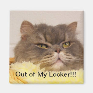 HORS DE LA MAGNET DE VERROUILLAGE