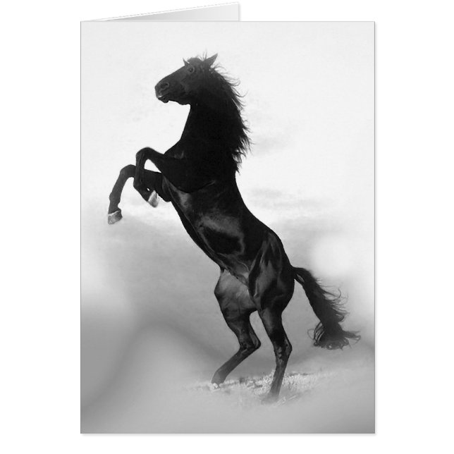 Horse (Front)