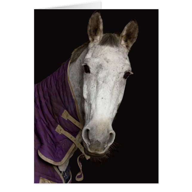 Horse (Front)