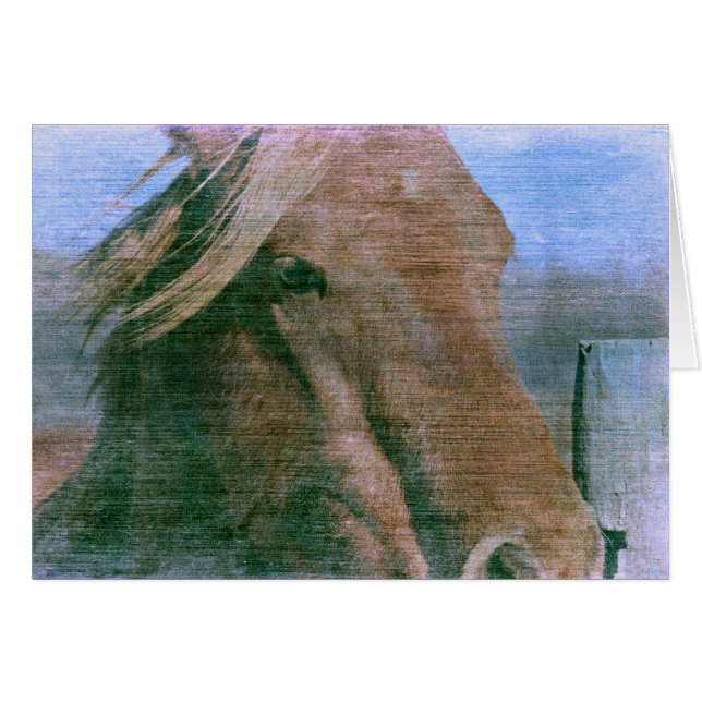 Horse (Front Horizontal)