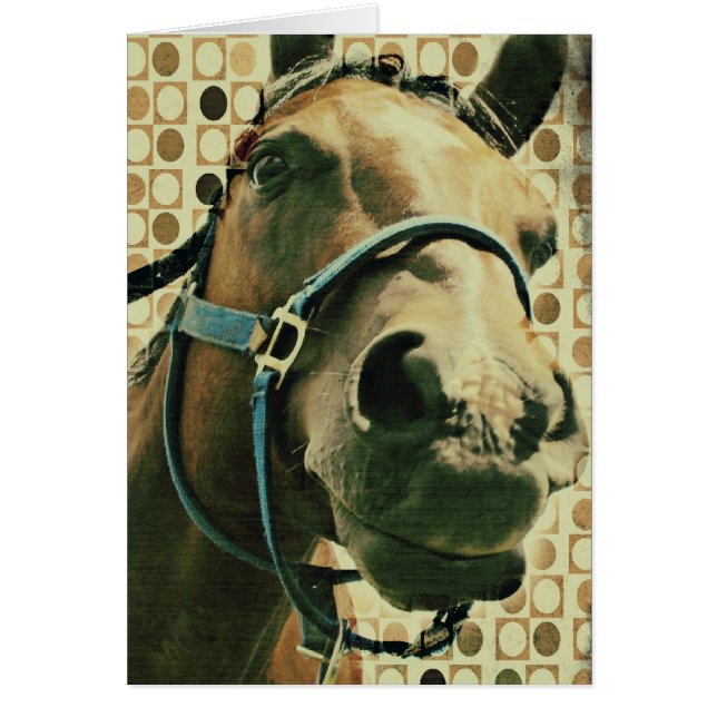 Horse (Front)