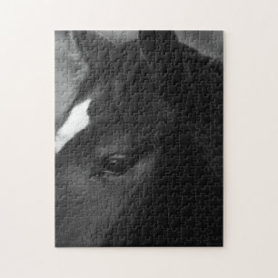 Horse 11x14 252pc jpcnm jigsaw puzzle