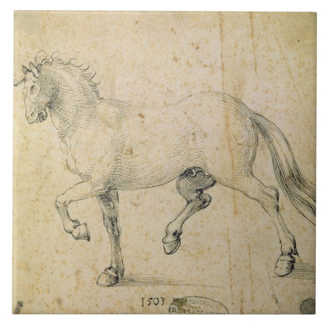 Horse, 1503 (pen and ink on paper) tile (Front)