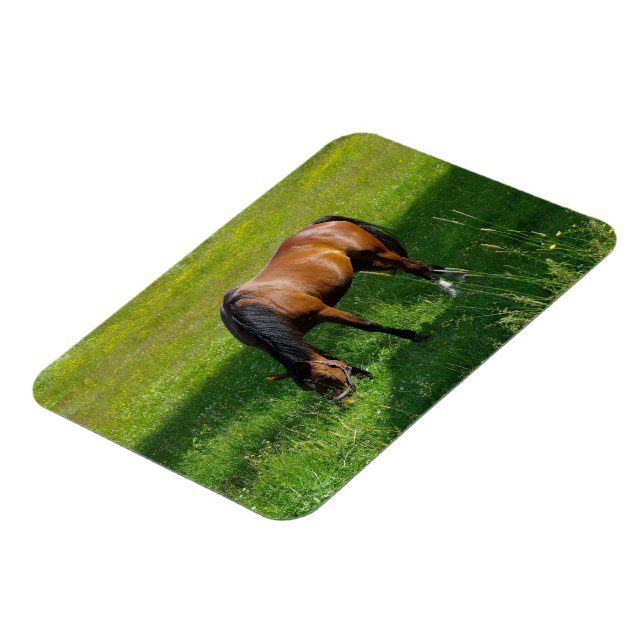 Horse #1 magnet (Left Side)