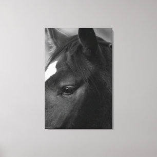Horse 24x36 (60x90cm) waccnm canvas print