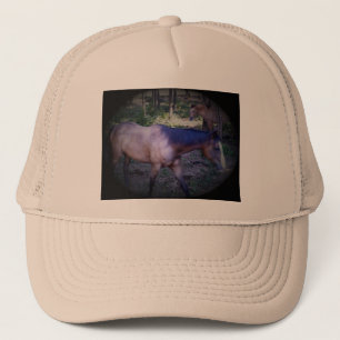 Horse 2 Hat