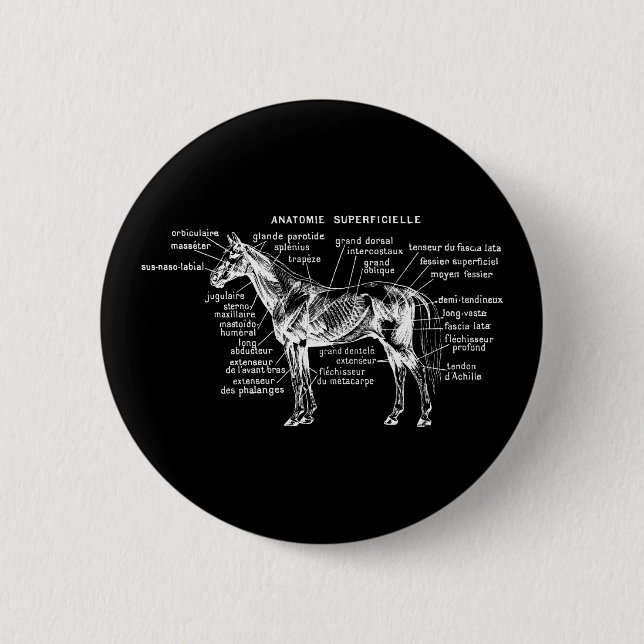 Horse 2 Inch Round Button (Front)