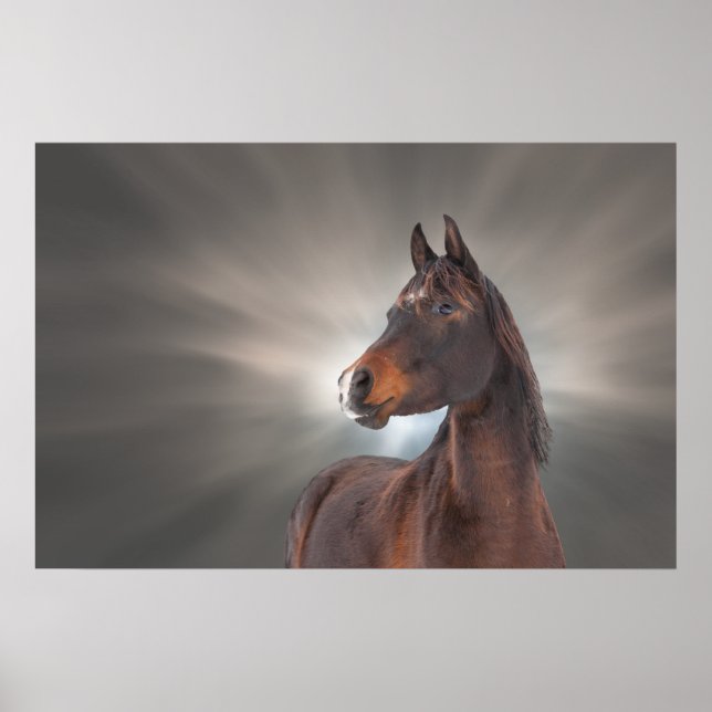 Horse against Clouds Poster (Front)
