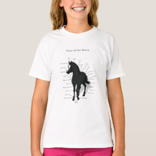 Horse Anatomy Chart on Black Foal Equestrian T-Shirt