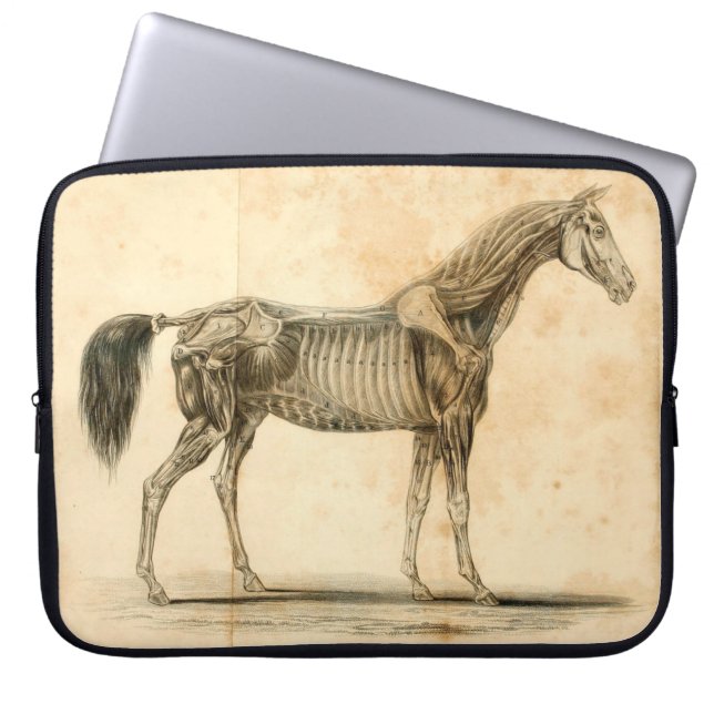 Horse Anatomy Laptop Sleeve (Front)