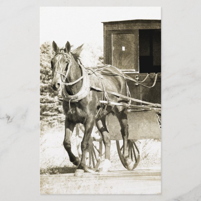 Horse and Buggy Sepia (Front)