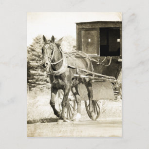 Horse and Buggy Sepia Postcard
