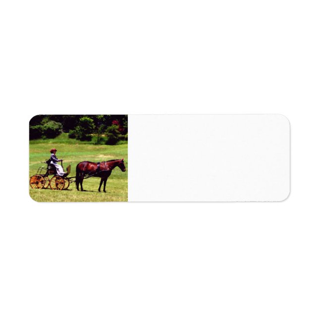 Horse and carriage address labels (Front)