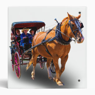 HORSE AND CARRIAGE BINDER