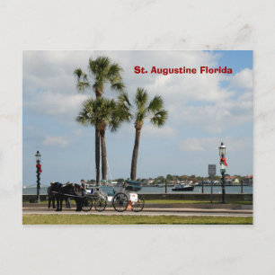 horse and carriage st augustine florida postcard